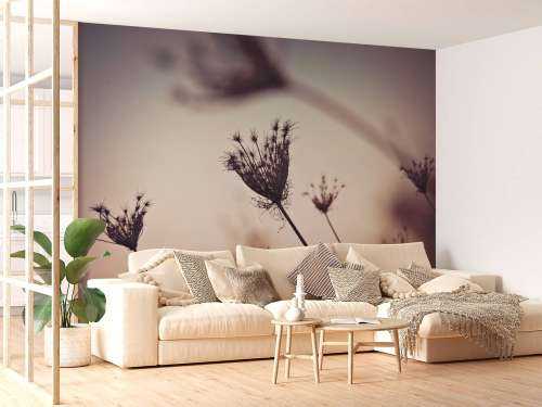 Reflet de plantes