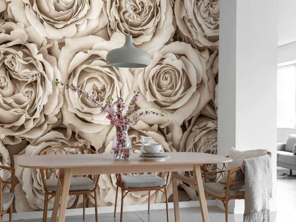 Fond d'écran de roses