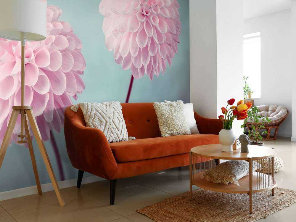 Deux fleurs de Dahlia