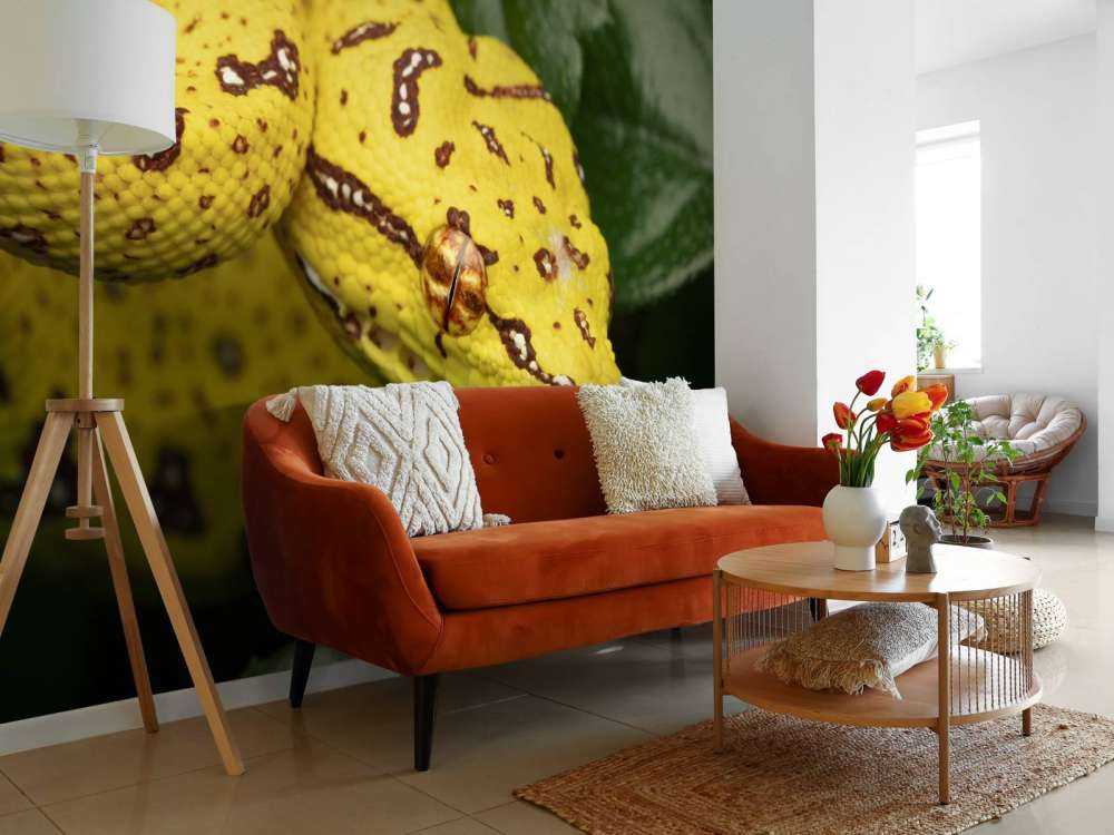 Gros plan sur un python arboricole