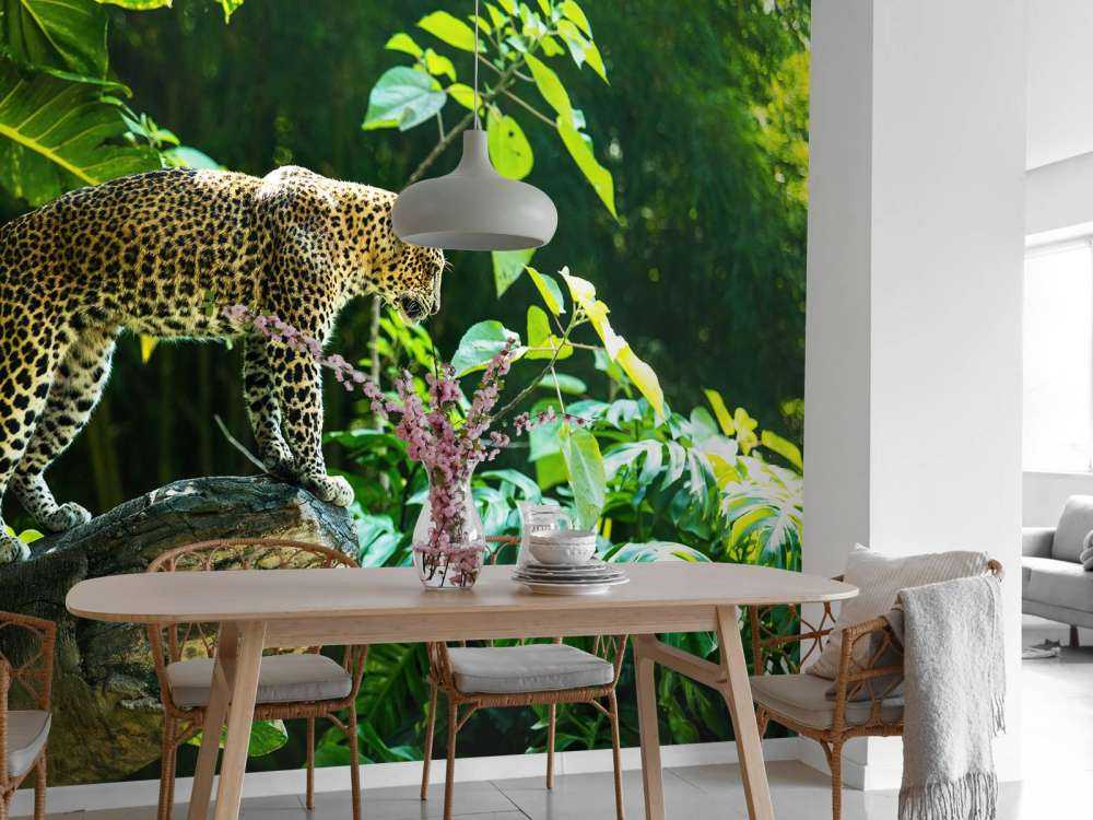 Léopard sur un rocher