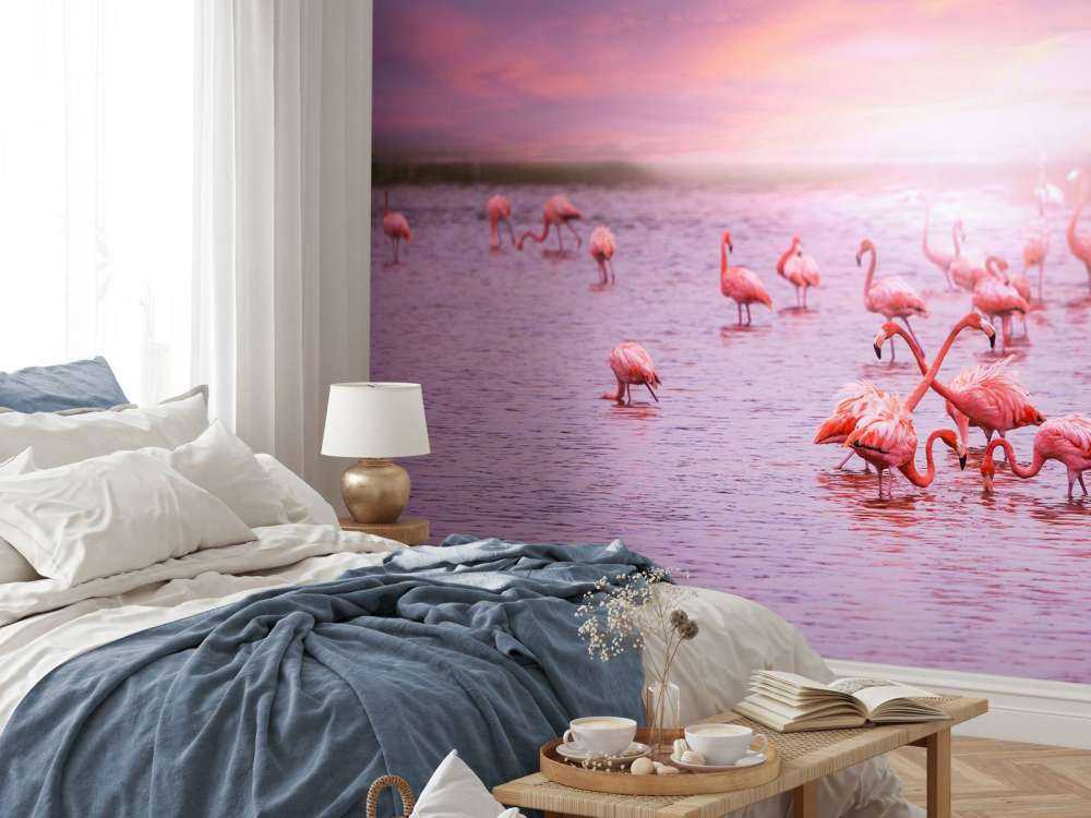 Flamants et le coucher de soleil