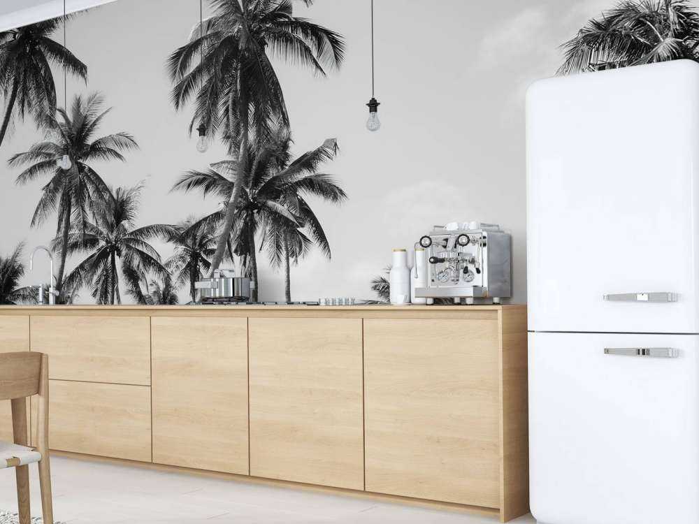 Palmiers en noir et blanc