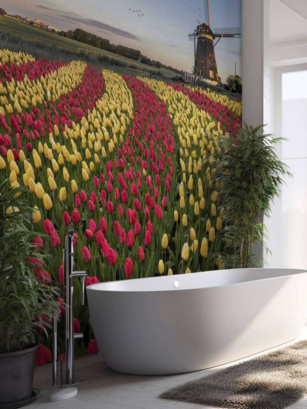 Champ de tulipes néerlandais