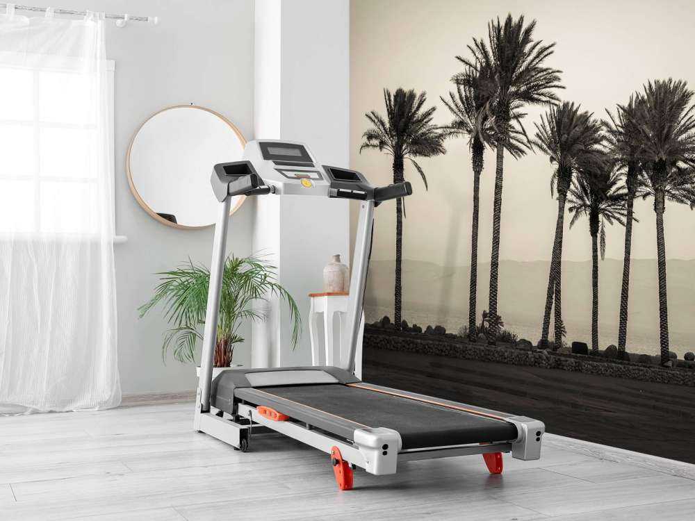 Palmiers noir et blanc