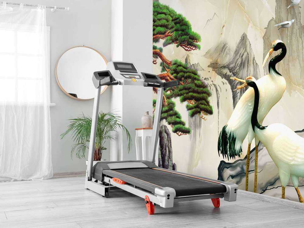 Des grues dans un monde imaginaire