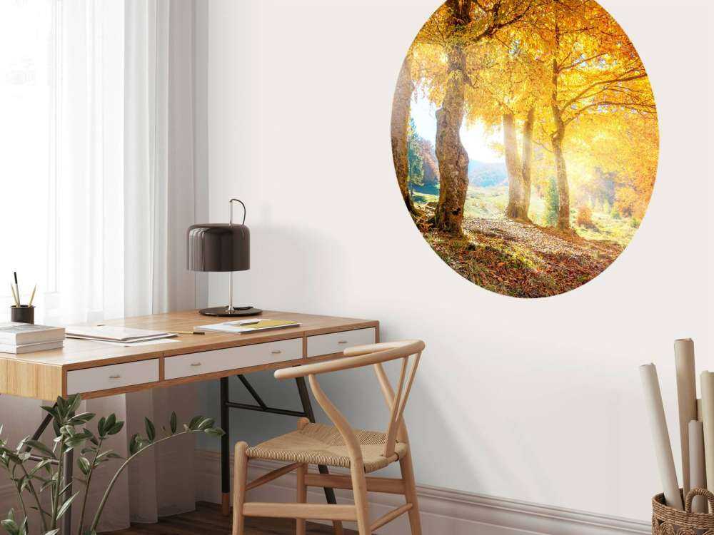 Chaleureux paysage d'automne