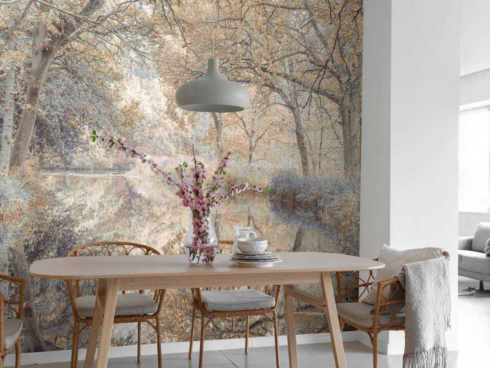 Rivière dans les bois