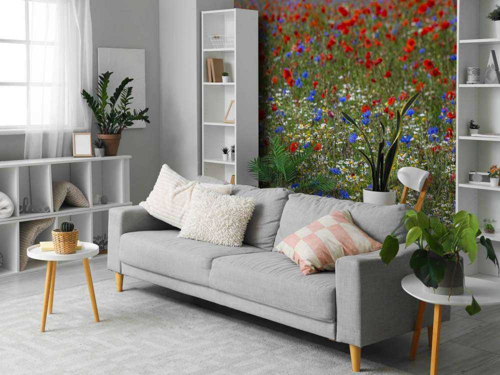 Champ plein de coquelicots