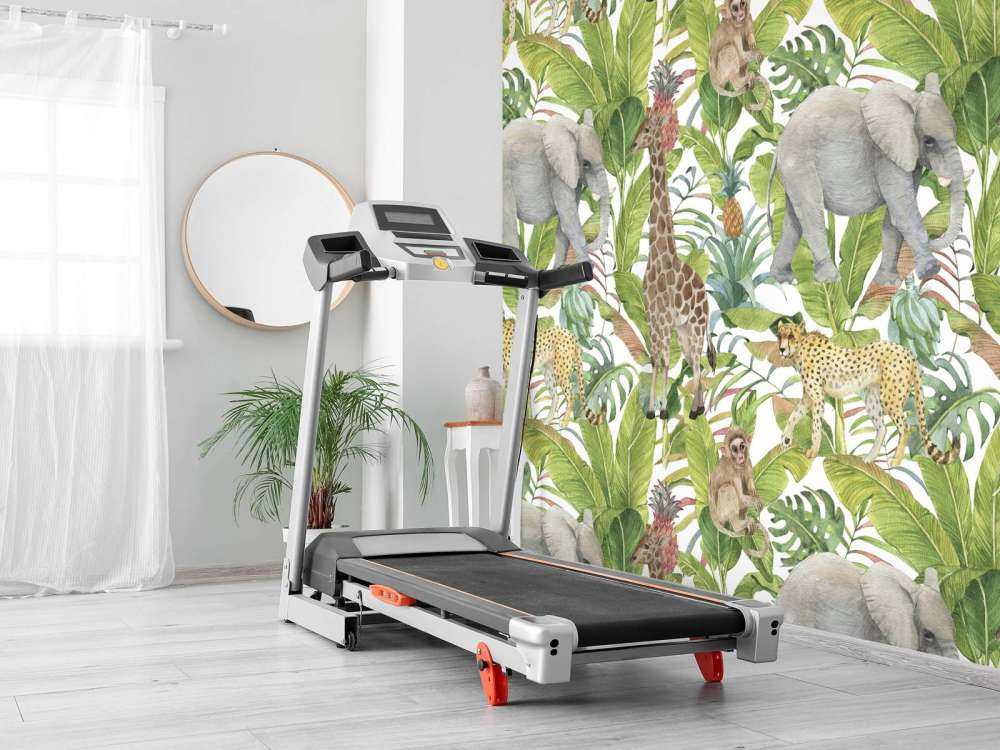 Animaux exotiques sauvages