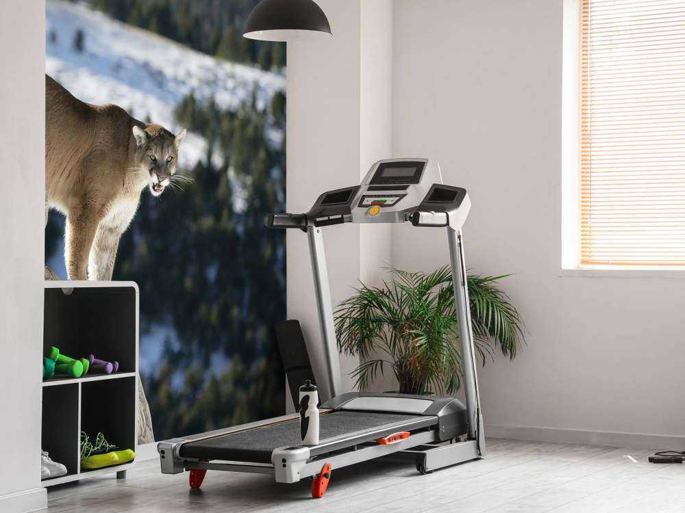 Lion de montagne sur un arbre mort