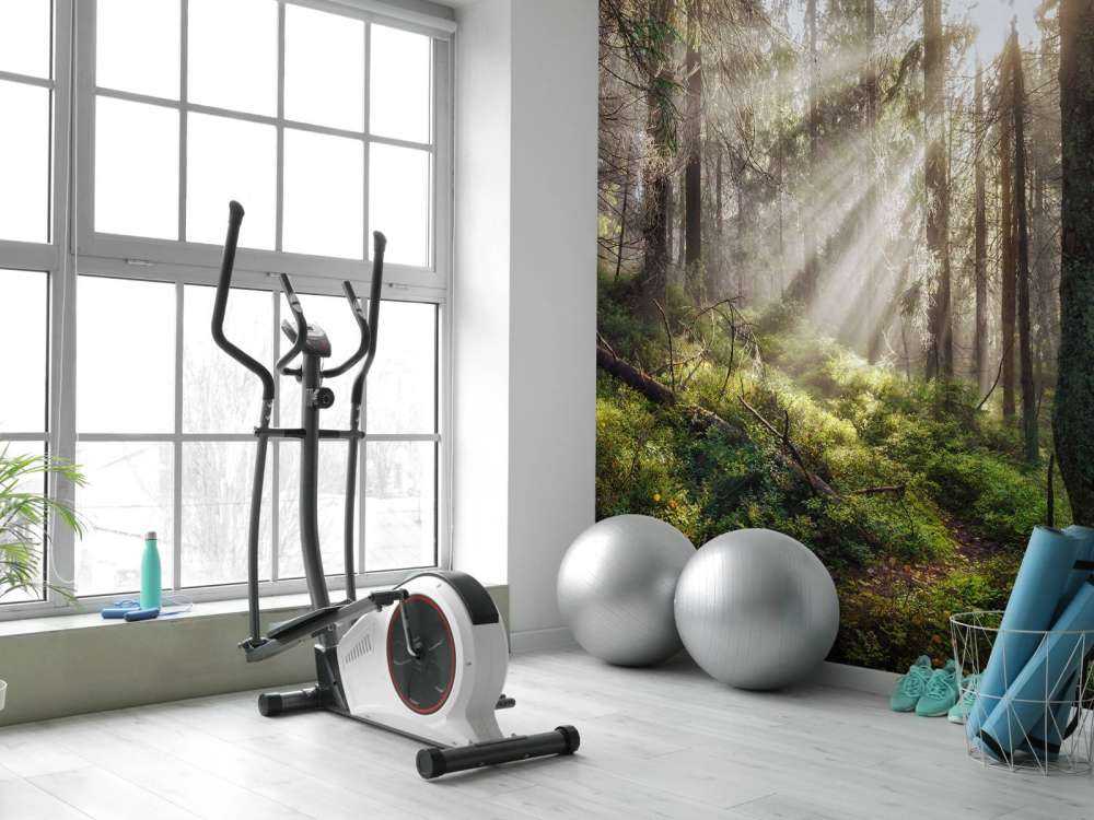 Forêt d'automne ensoleillée