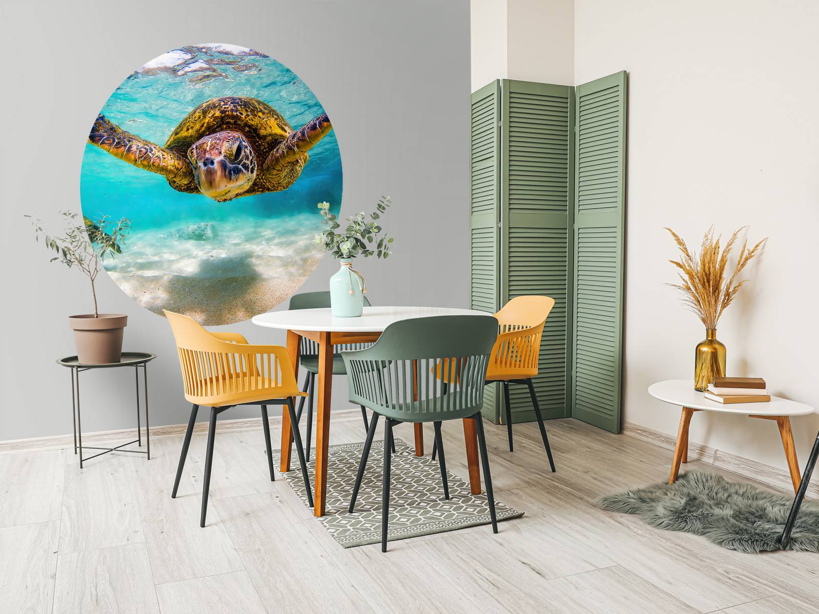 Tortue de mer dans l'océan