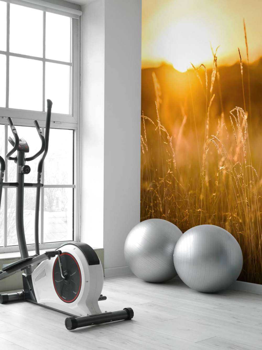 Coucher de soleil entre les grains