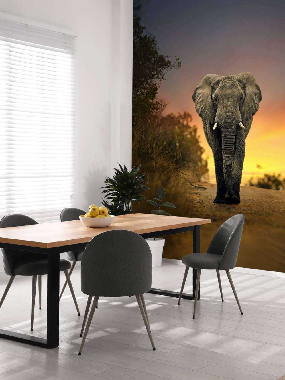 Eléphant au coucher du soleil