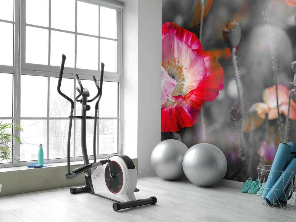 Coquelicots en noir, blanc, rouge