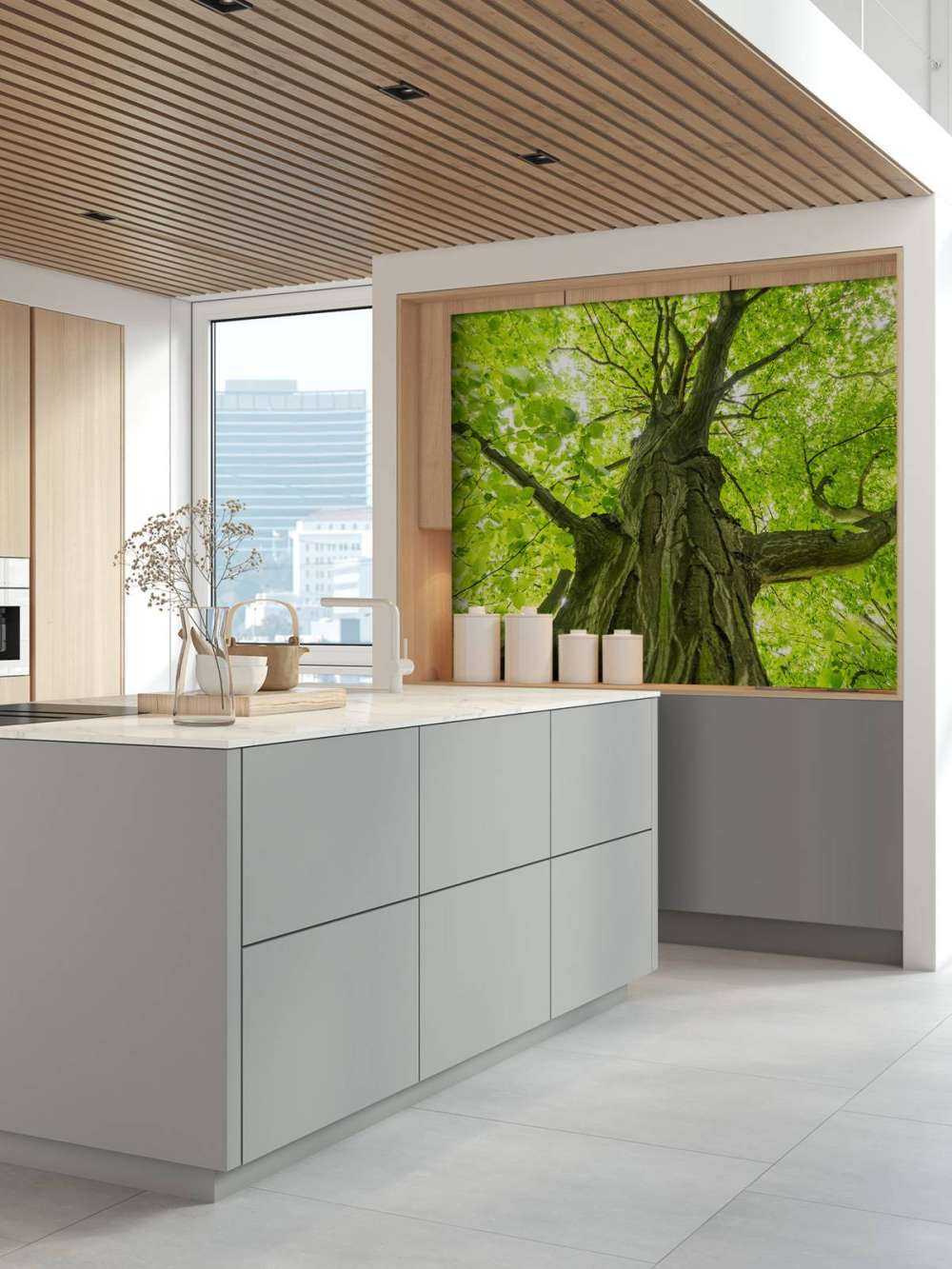 Grand arbre dans la forêt