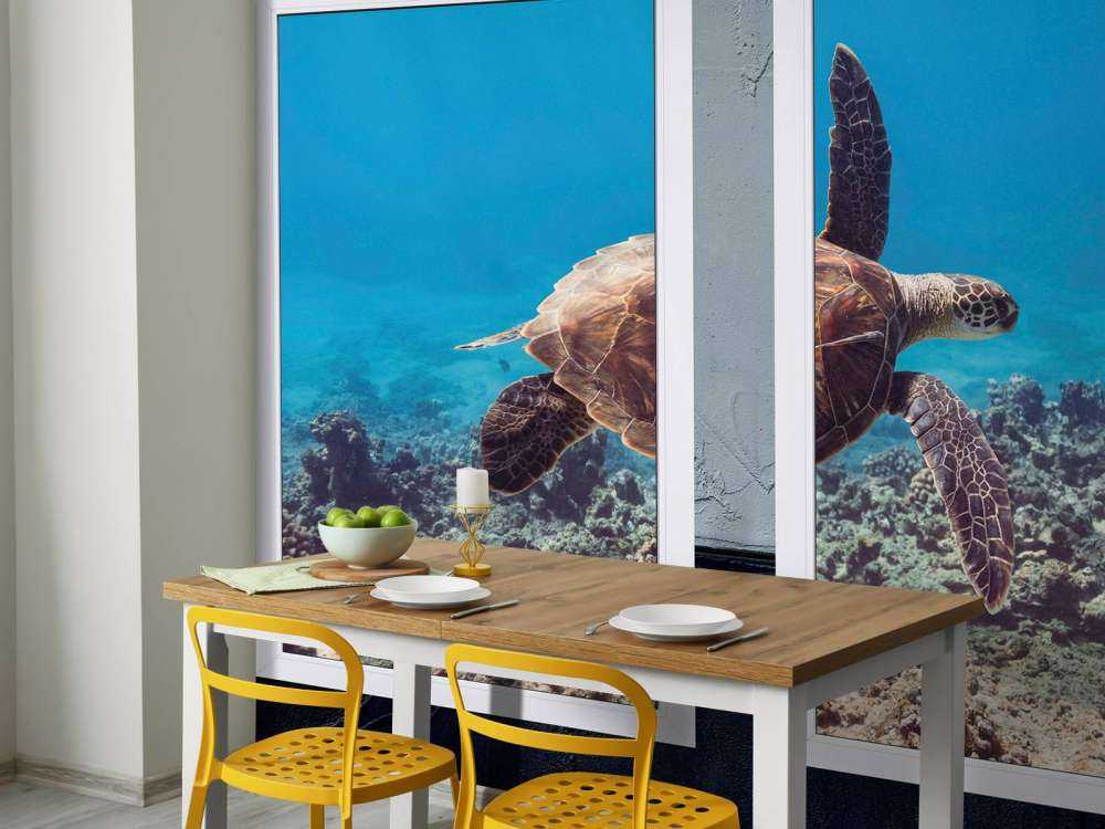 Tortue de mer au-dessus du récif corallien