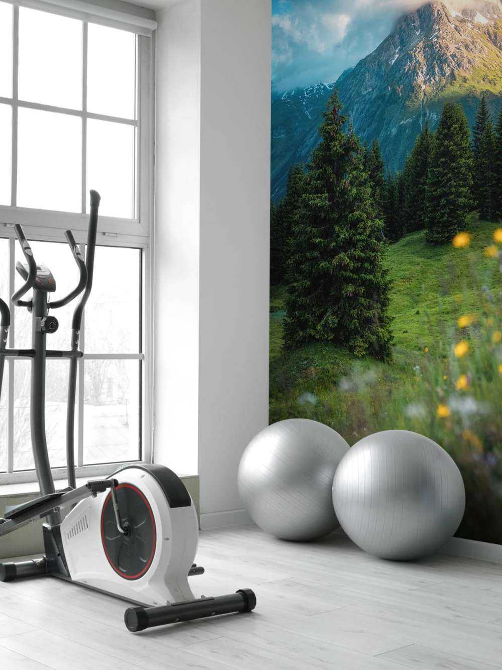 Prairie de montagne dans la brume du matin.