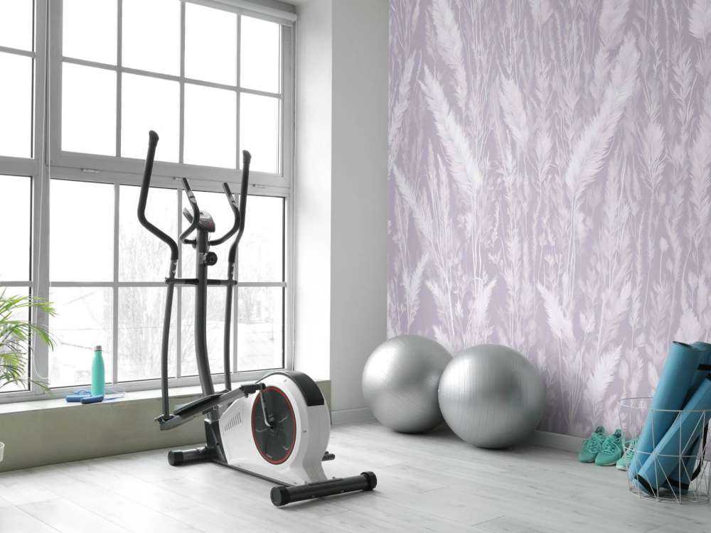 Mur de graminées de champ - violet