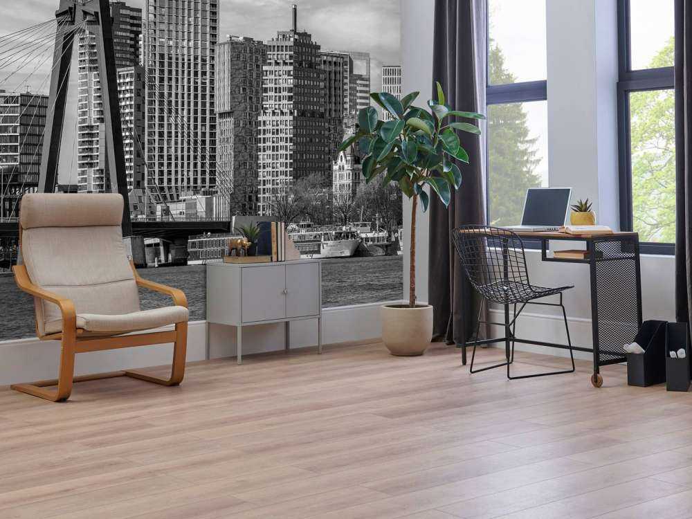 Skyline Noir-Blanc avec Willemsbrug