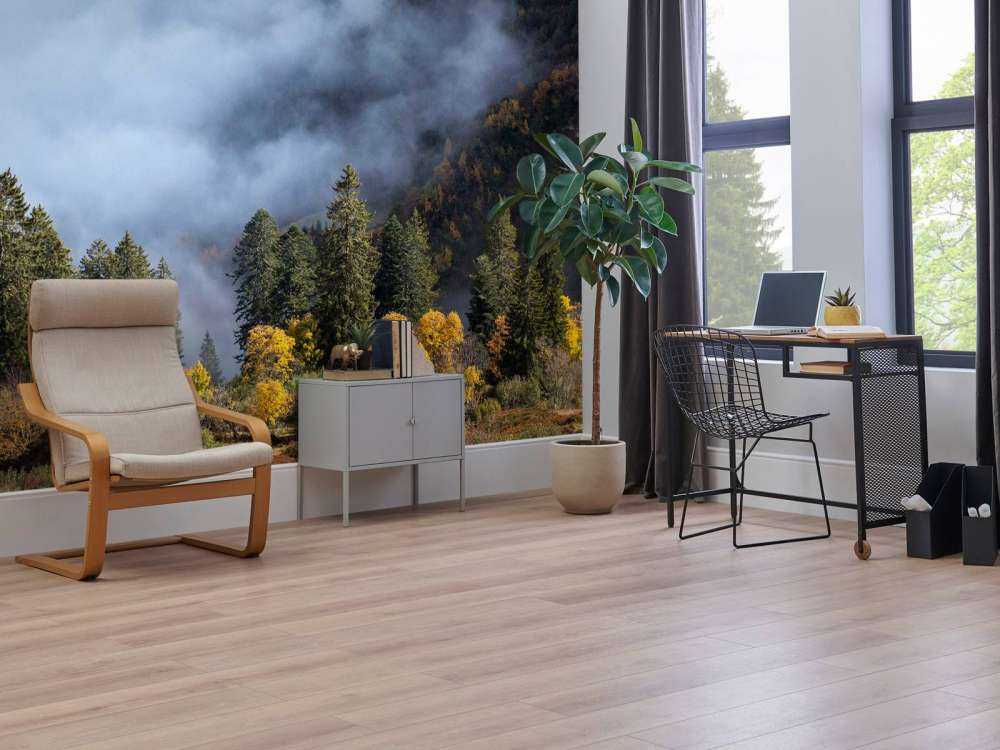 Matin d'automne dans la forêt de montagne brumeuse