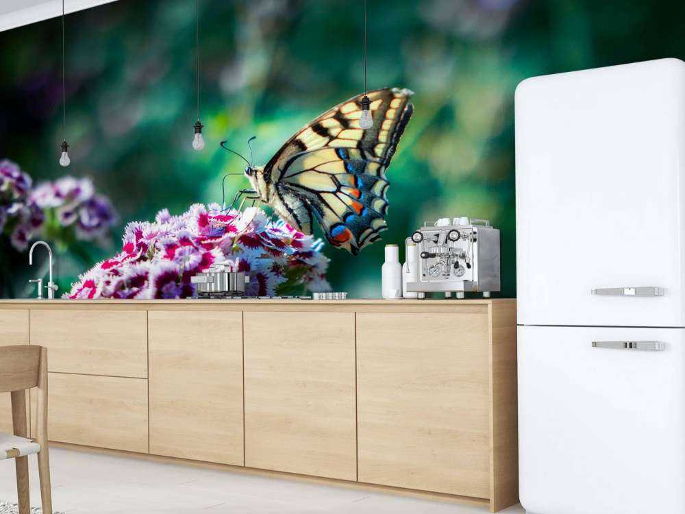 Papillon sur des fleurs estivales