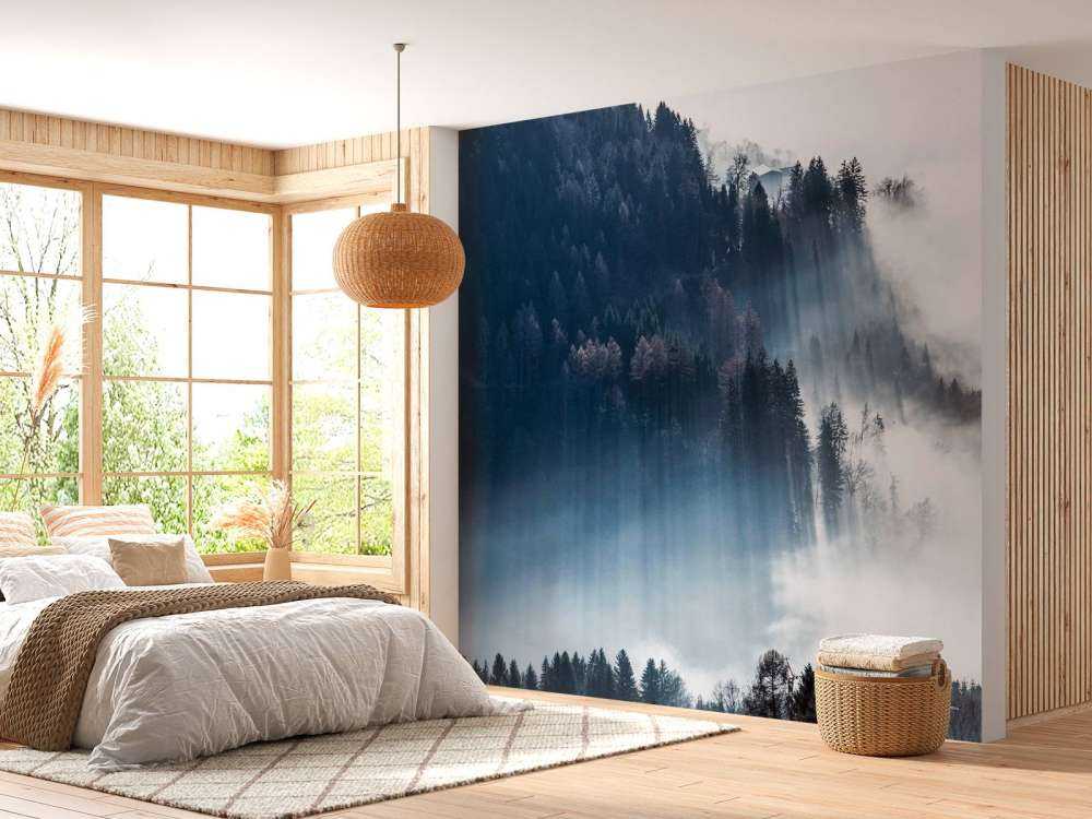 Lumière du matin dans la forêt brumeuse.