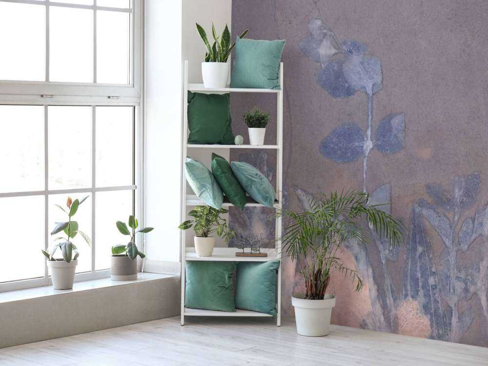 Géranium sauvage en neige - bleu