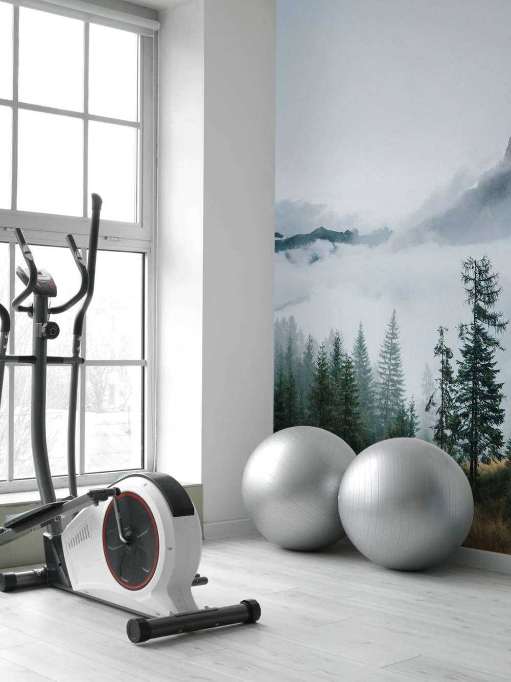 Brume matinale sur la forêt