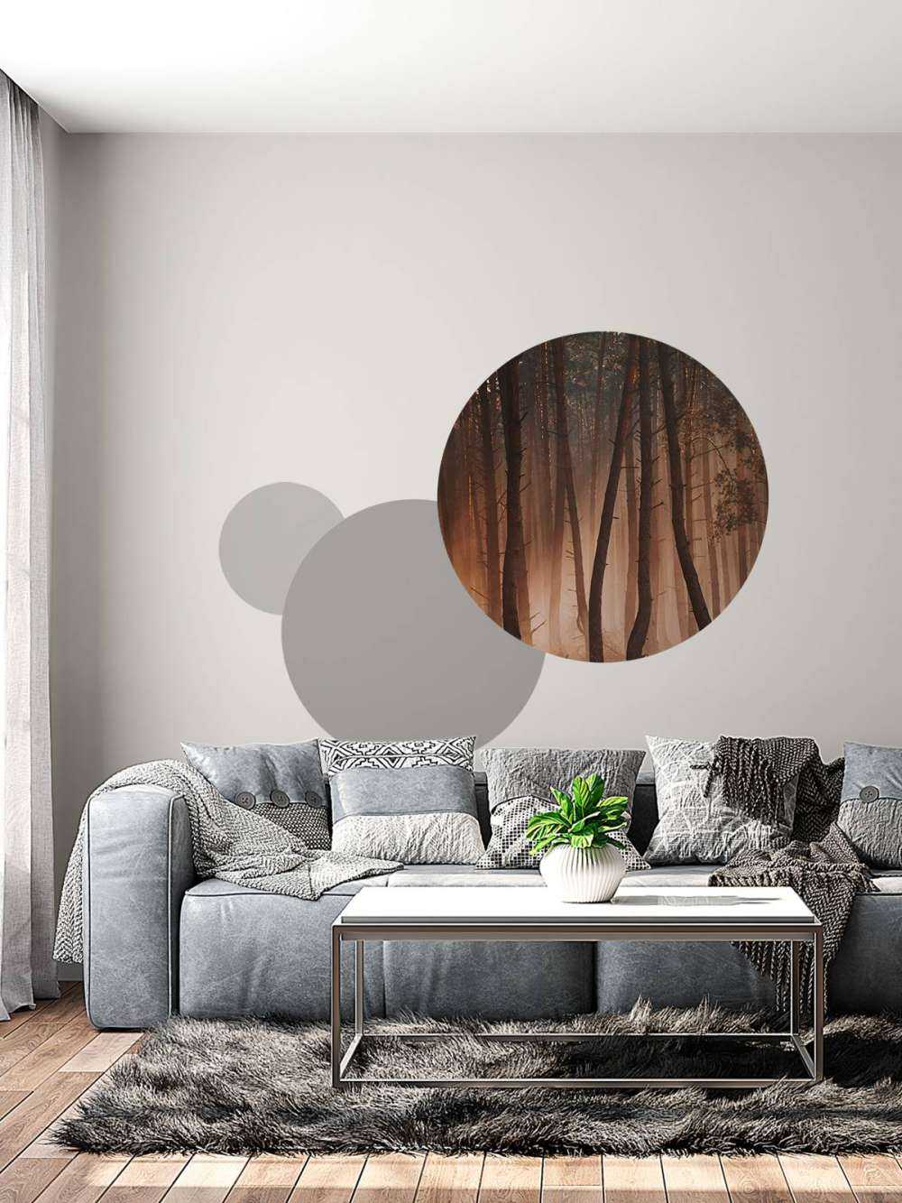 Transition des Saisons