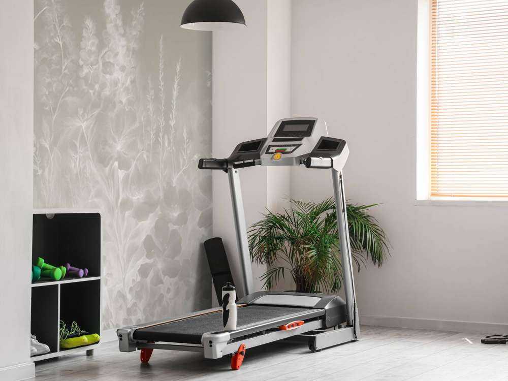 Jardin anglais tendre - olive