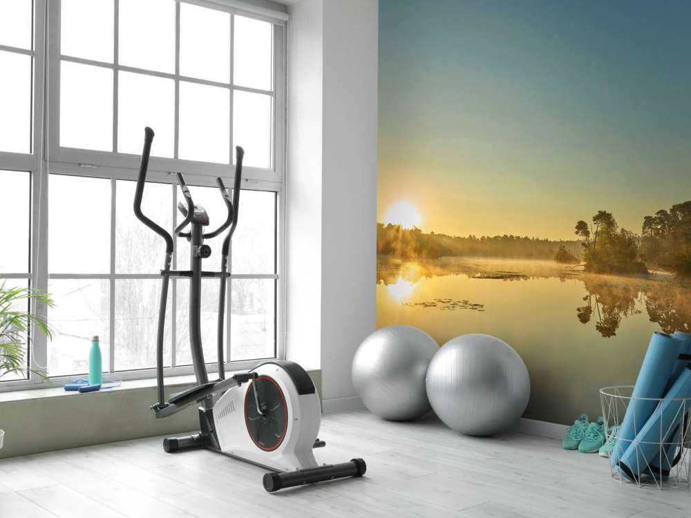 Lever de soleil au lac forestier