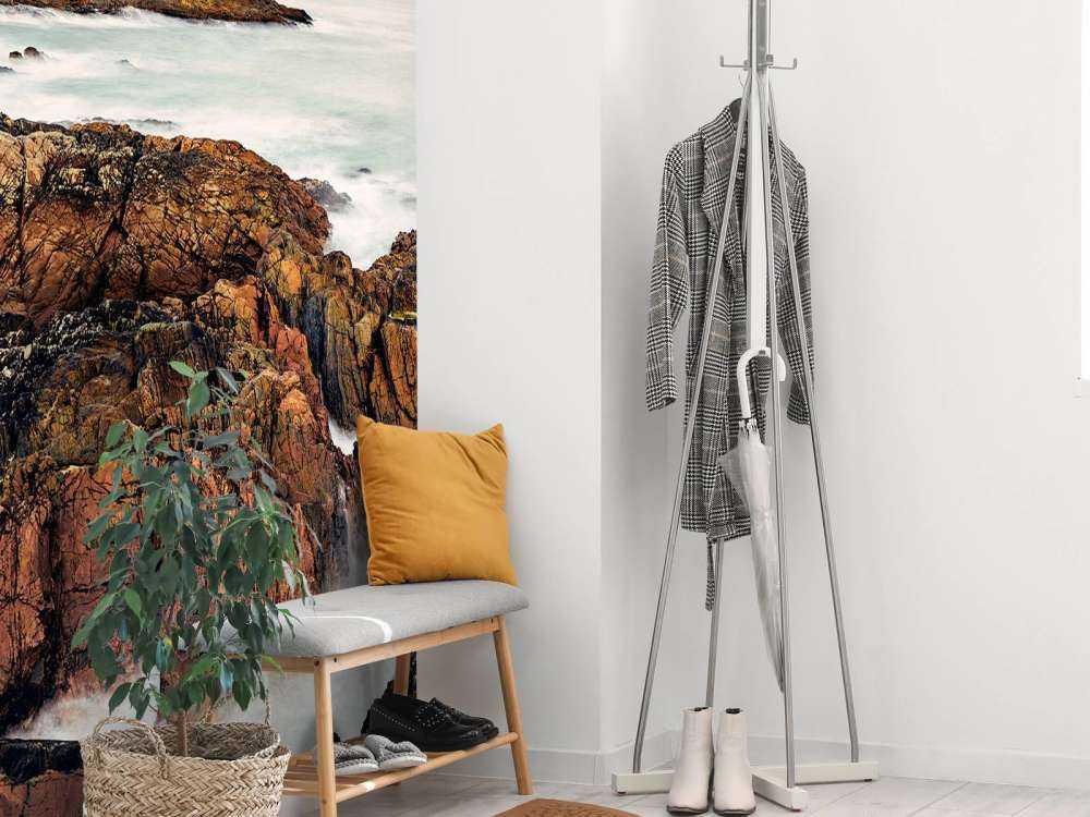 Rivage avec des rochers