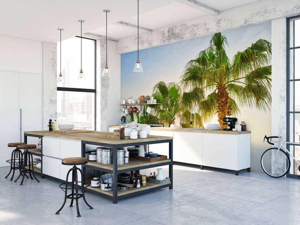 Des palmiers au soleil