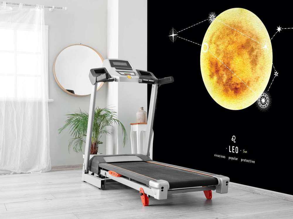 Planète Constellation Lion