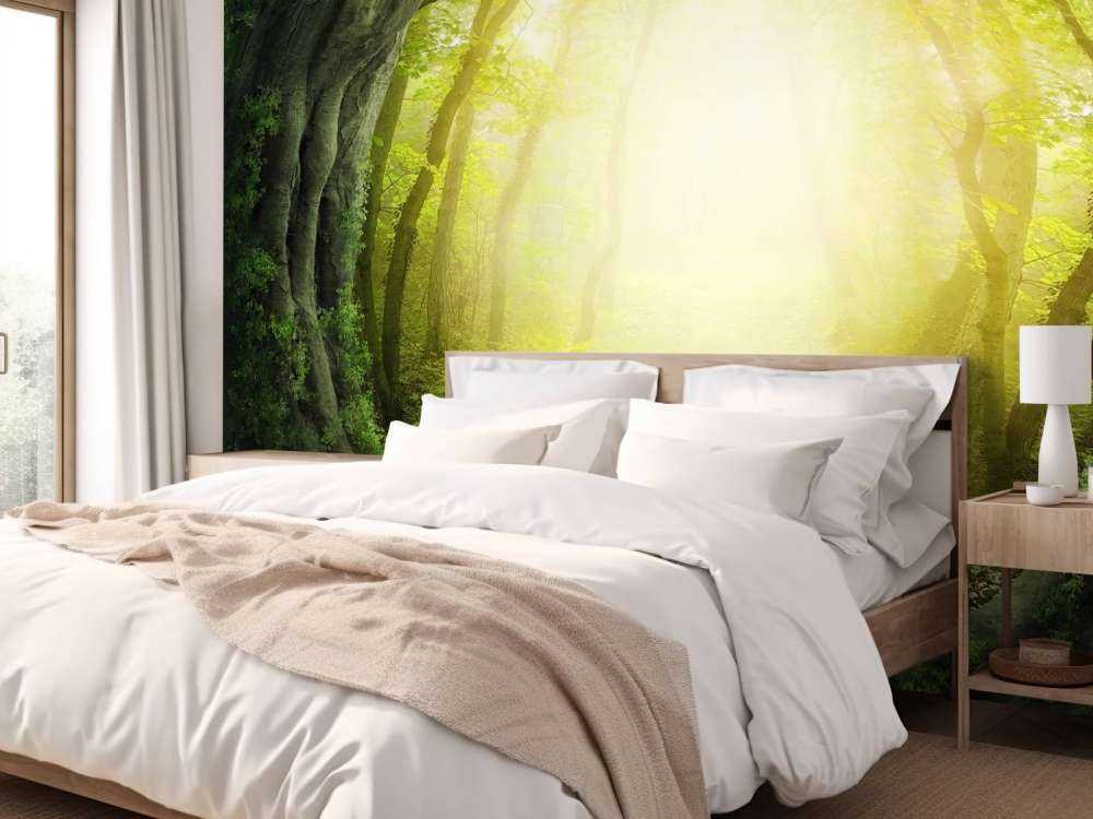 Sentier à travers la forêt