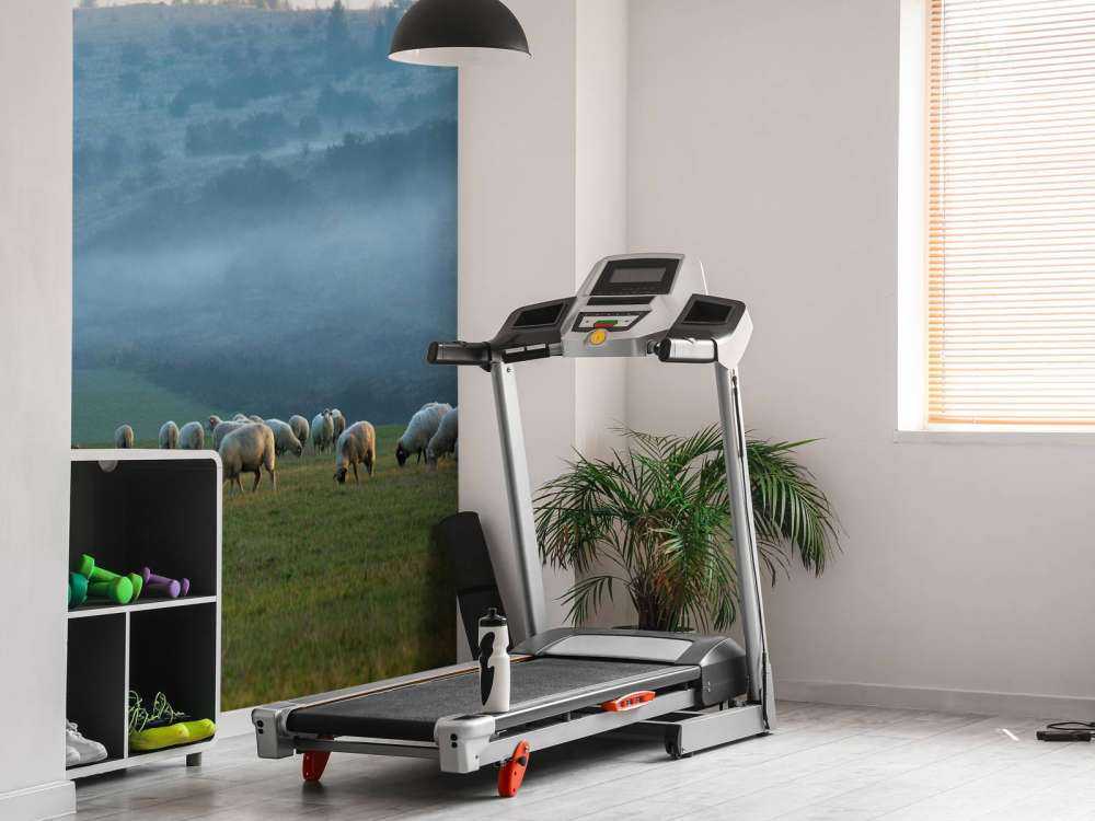 Troupeau de moutons avec paysage brumeux