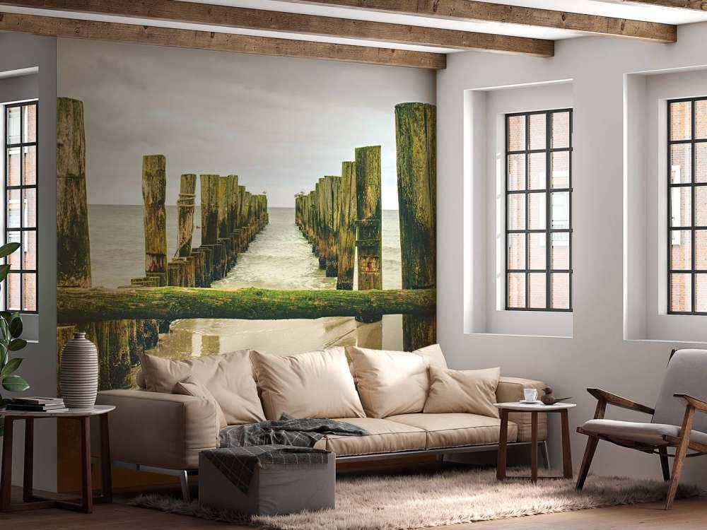 Des têtes de pieux moussues dans l'eau