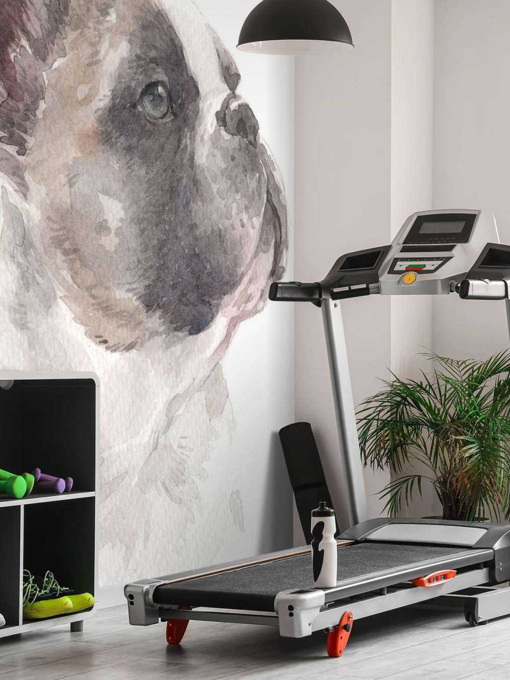 Aquarelle Bouledogue français