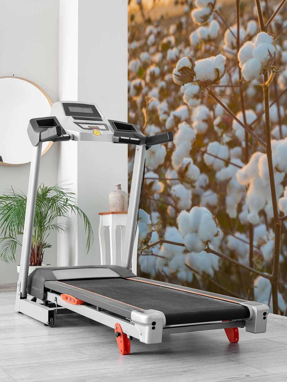 Champ de coton avec un ciel jaune doré