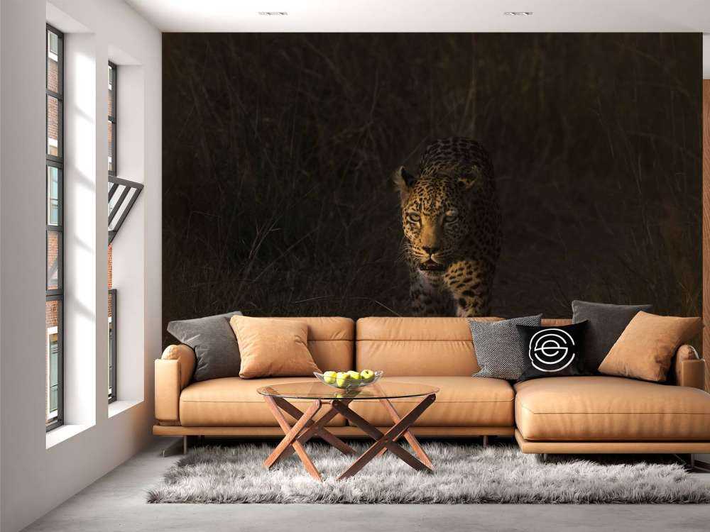 Léopard au coucher de soleil