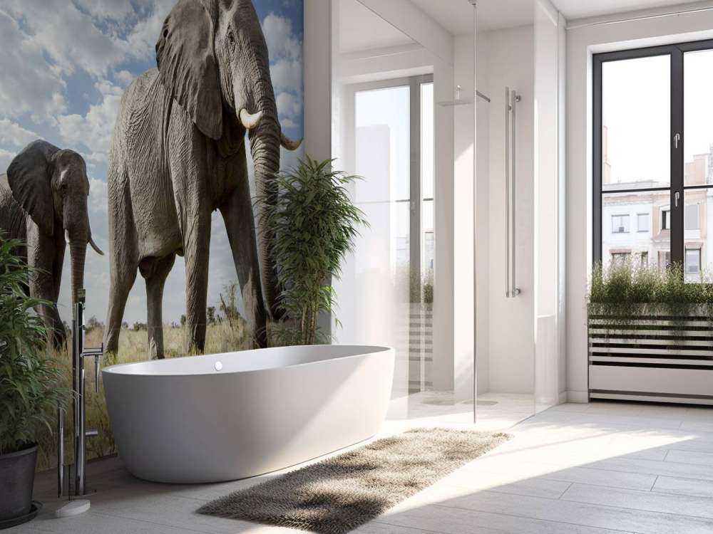 Le passage des éléphants