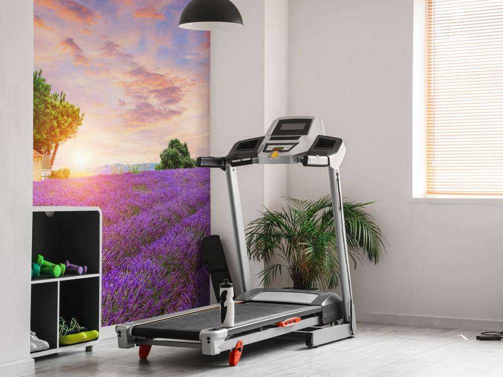 Champ de lavande au lever du soleil