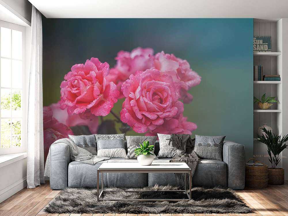 Branche de rose rose