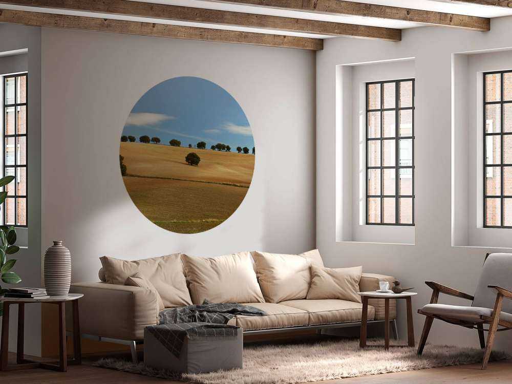 Les arbres dans le paysage espagnol