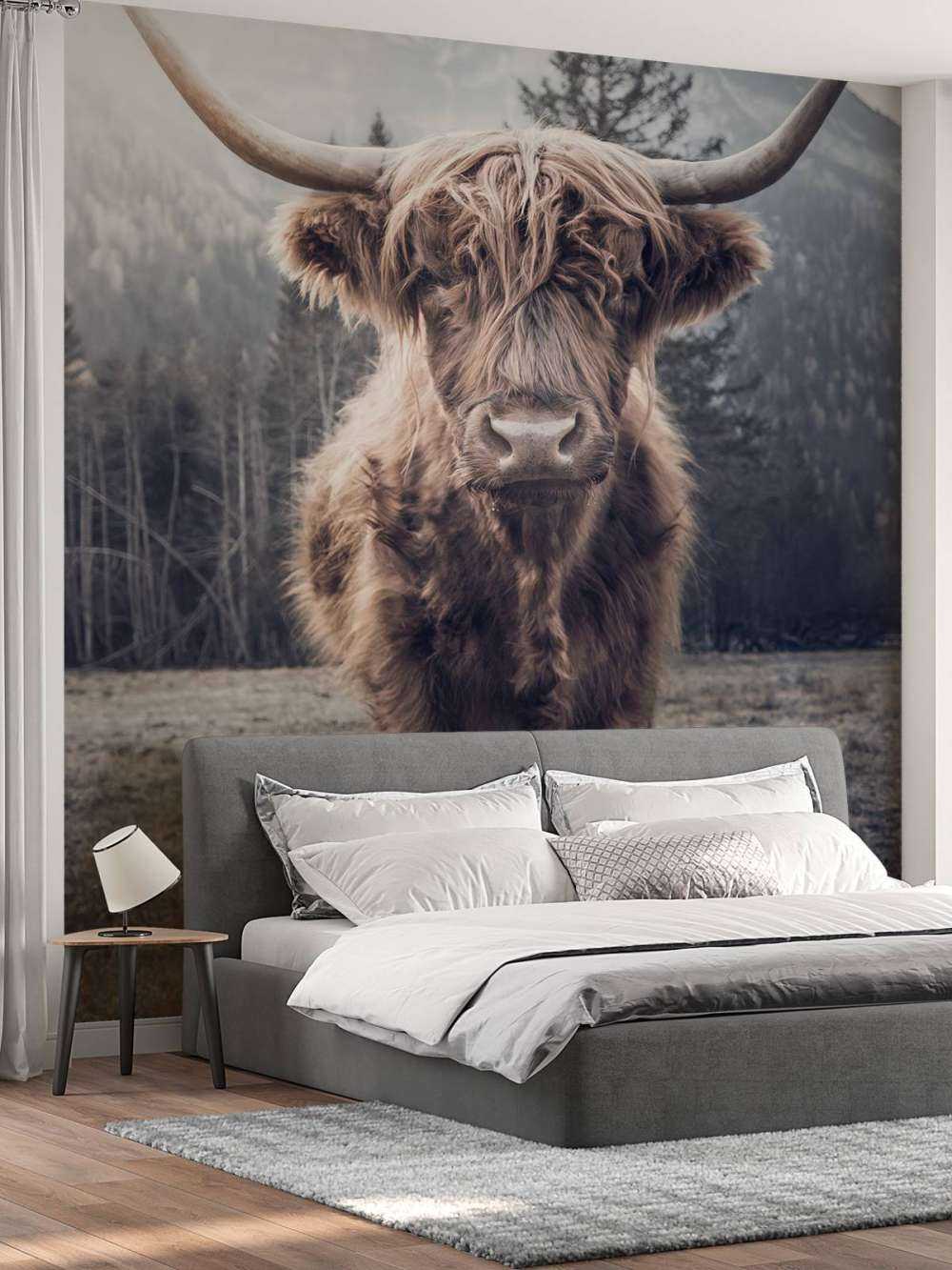 Le Highland écossais au bord de la forêt