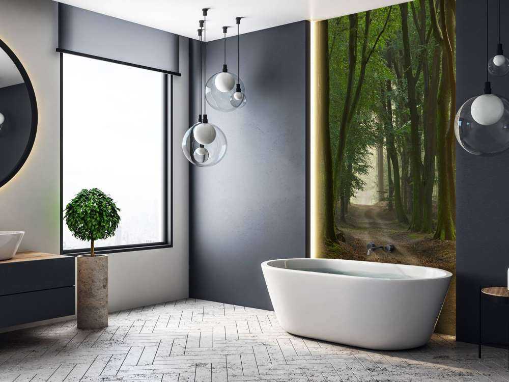 Sentier de sable dans la forêt