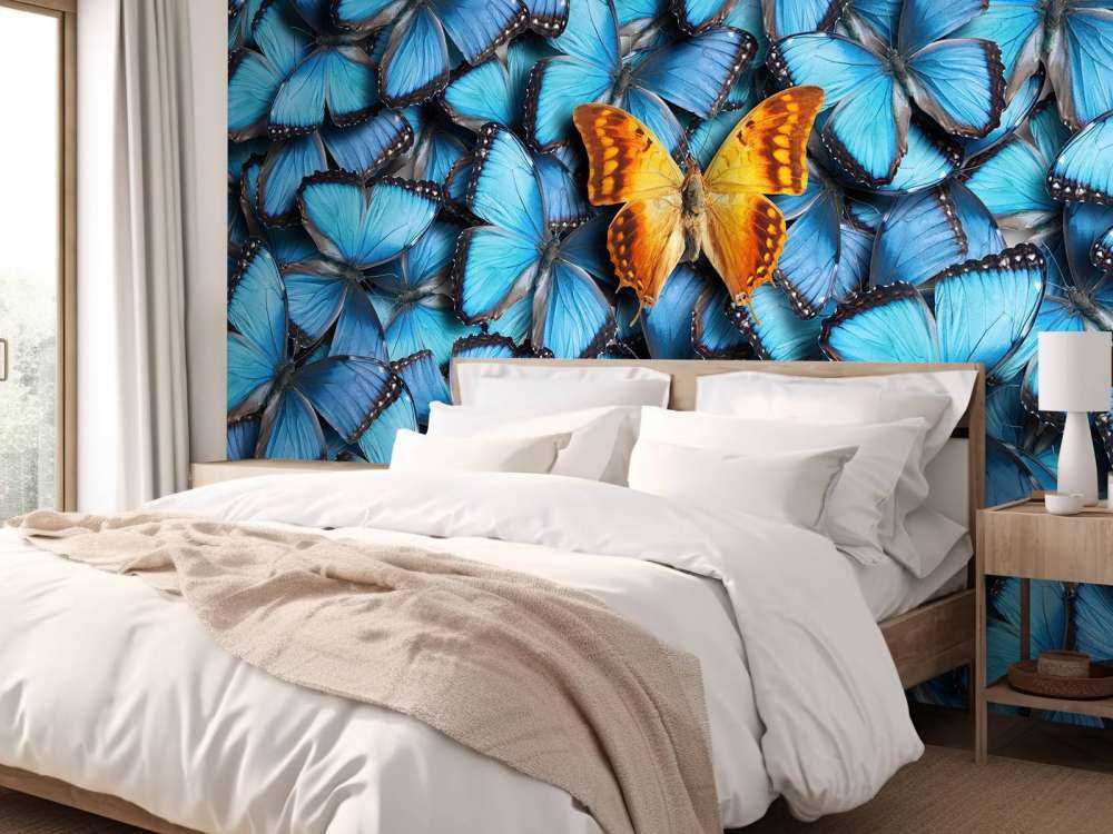 Composition du papillon