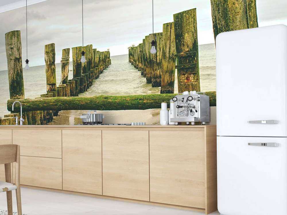 Des têtes de pieux moussues dans l'eau